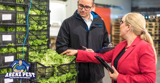 Business owner and manager checking produce quality