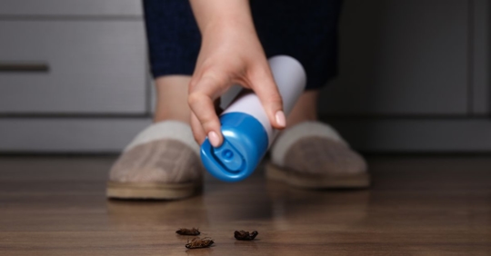 woman spraying bugs at home